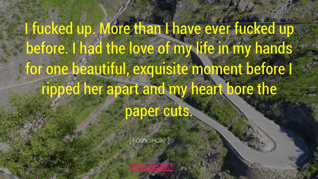 The Love Of My Life quotes by Karina Halle
