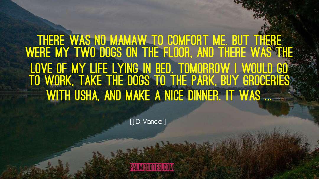 The Love Of My Life quotes by J.D. Vance