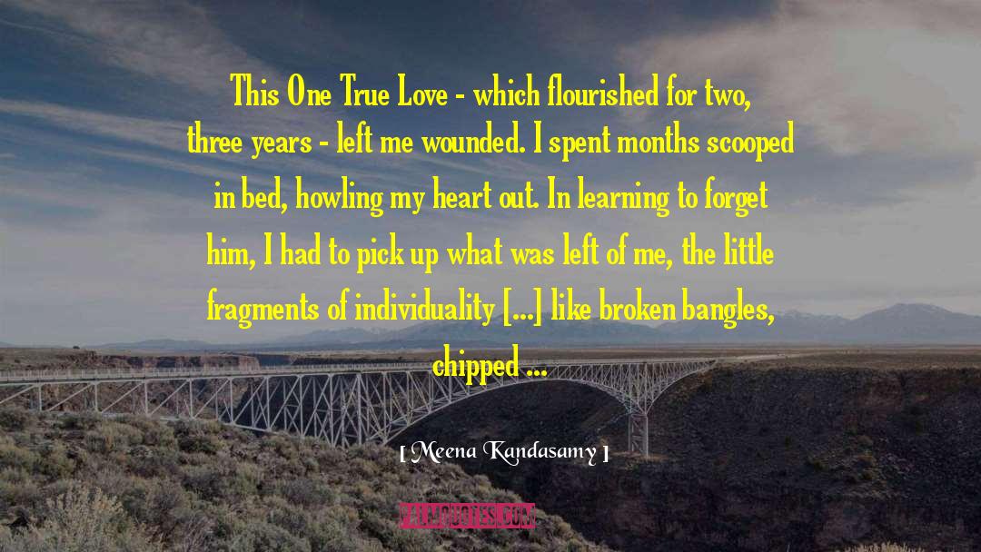 The Lover For You quotes by Meena Kandasamy