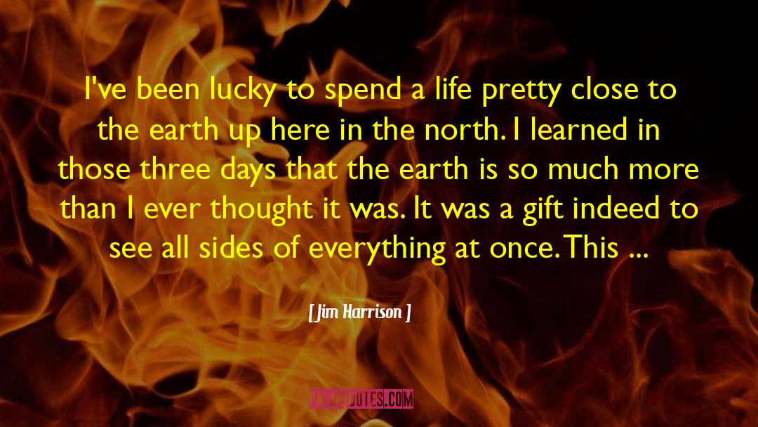 The Lucky One quotes by Jim Harrison