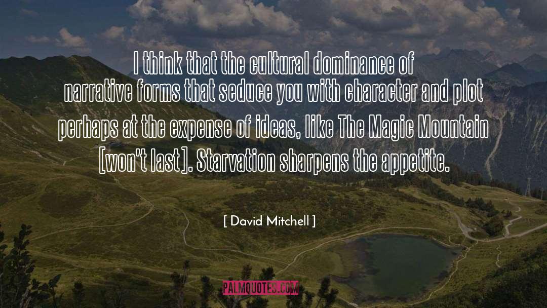 The Magic Mountain quotes by David Mitchell