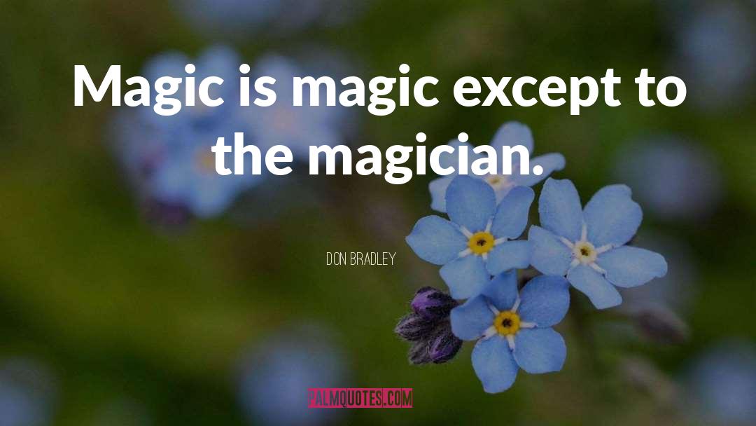 The Magician King quotes by Don Bradley
