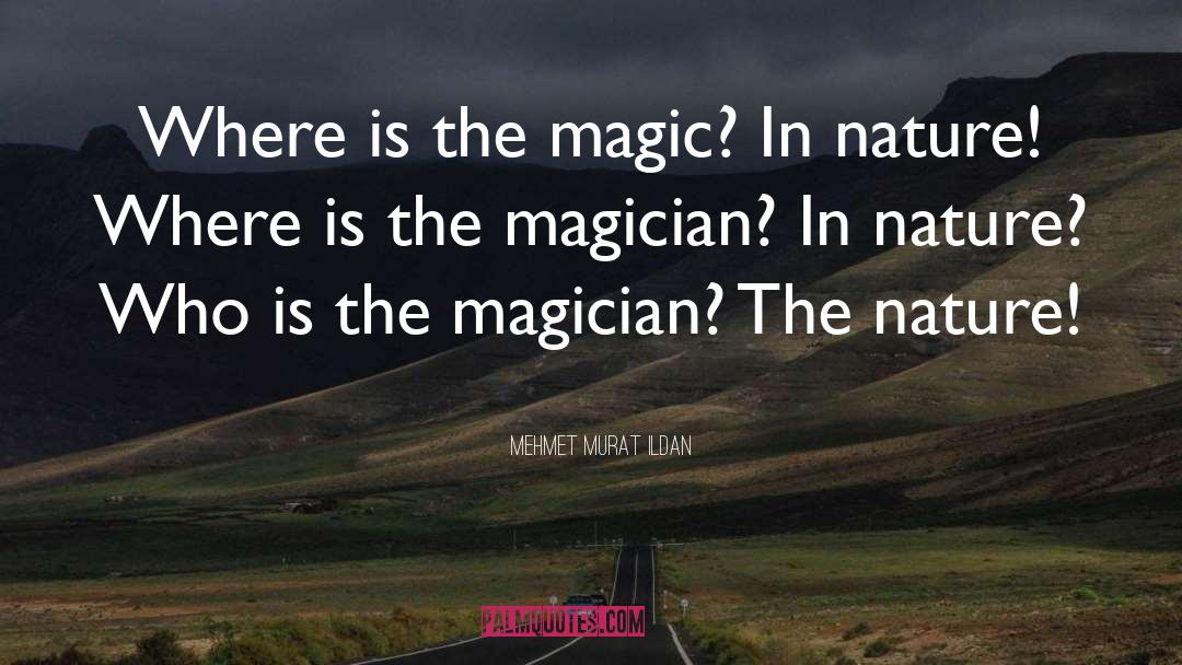 The Magician King quotes by Mehmet Murat Ildan