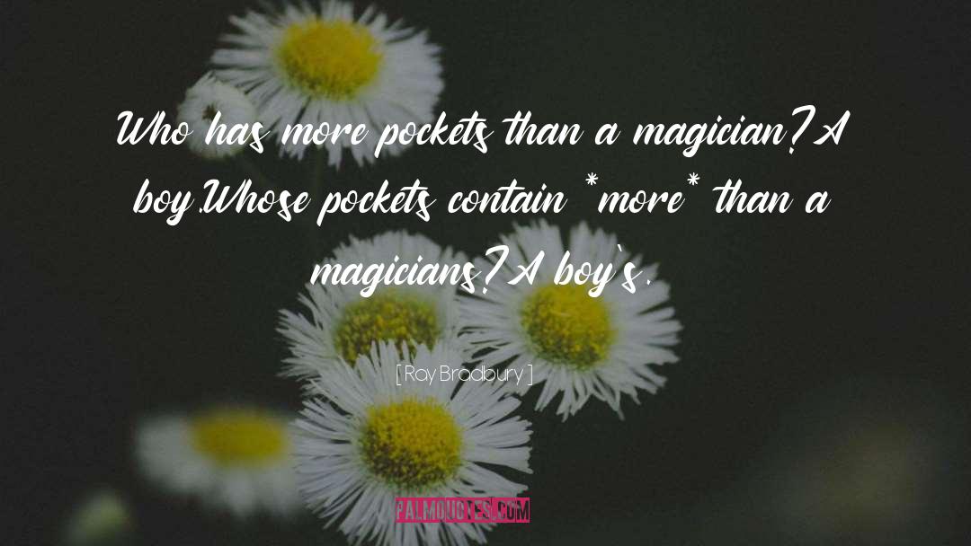 The Magicians quotes by Ray Bradbury