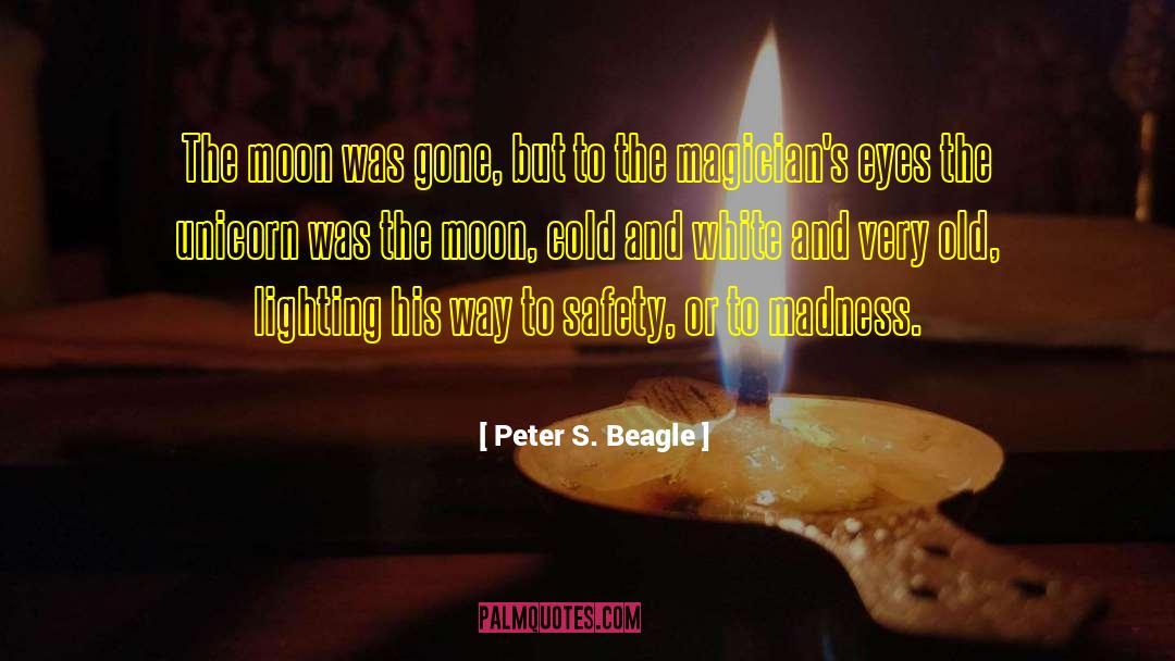 The Magicians quotes by Peter S. Beagle