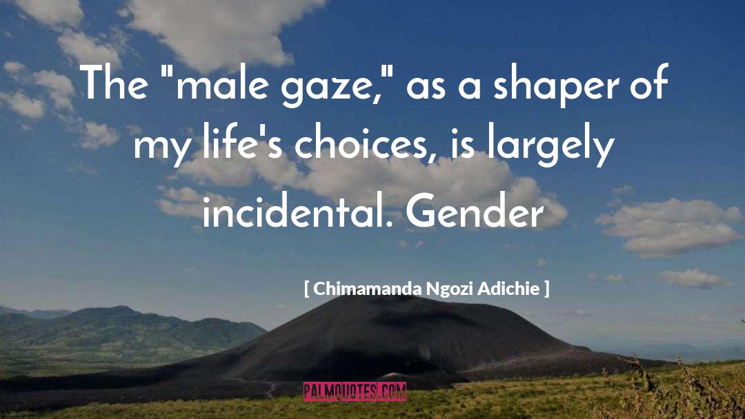 The Male Gaze quotes by Chimamanda Ngozi Adichie