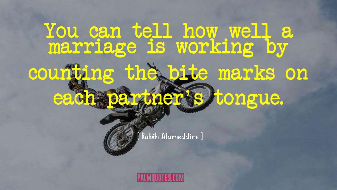 The Marriage Mistake quotes by Rabih Alameddine