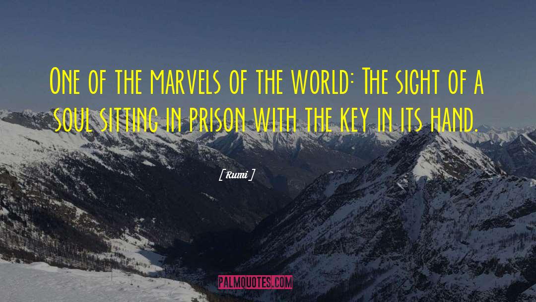 The Marvels quotes by Rumi