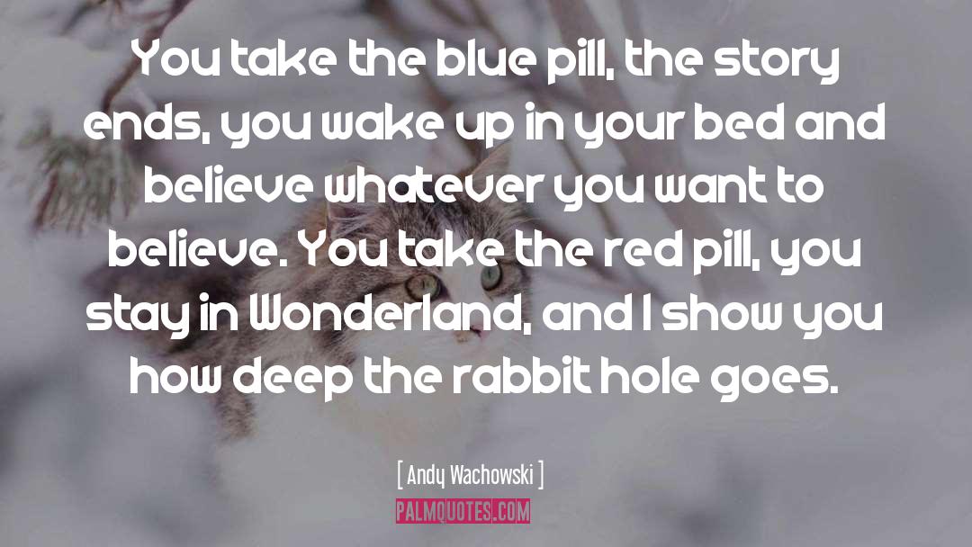 The Matrix Red Pill Quote quotes by Andy Wachowski