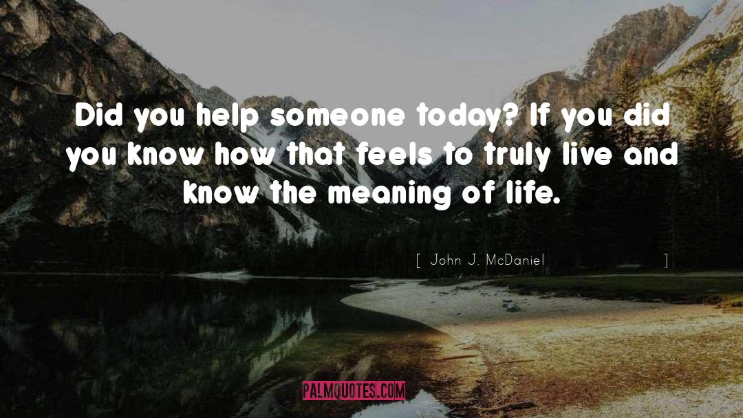 The Meaning Of Life quotes by John J. McDaniel