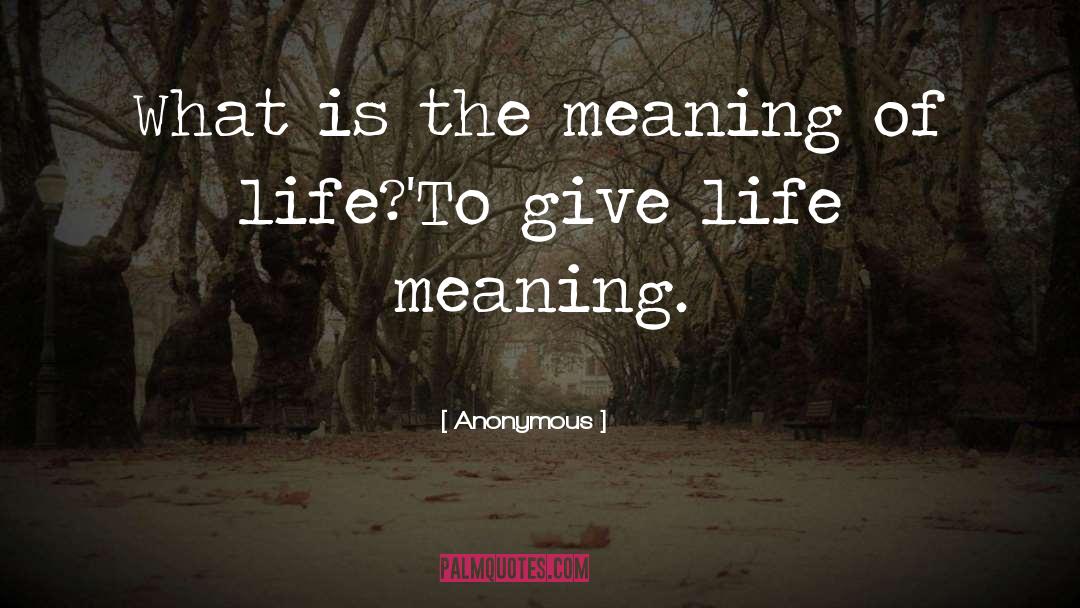 The Meaning Of Life quotes by Anonymous