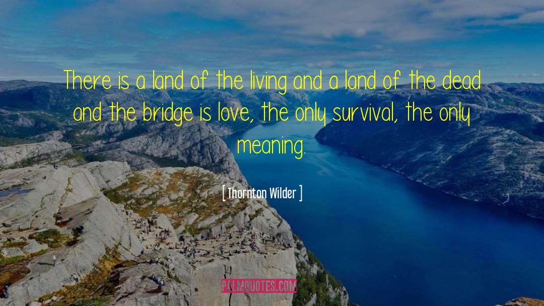 The Meaning Of The Books quotes by Thornton Wilder