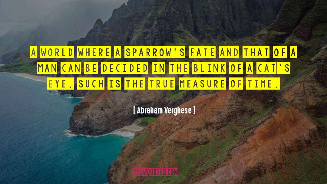 The Measure Of A Soul quotes by Abraham Verghese