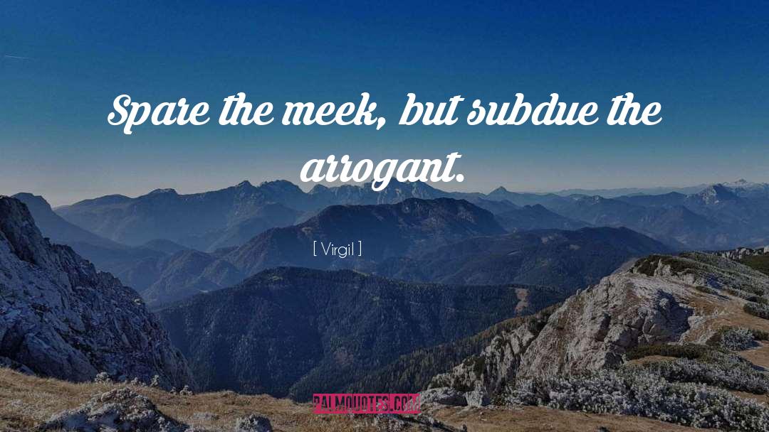 The Meek quotes by Virgil