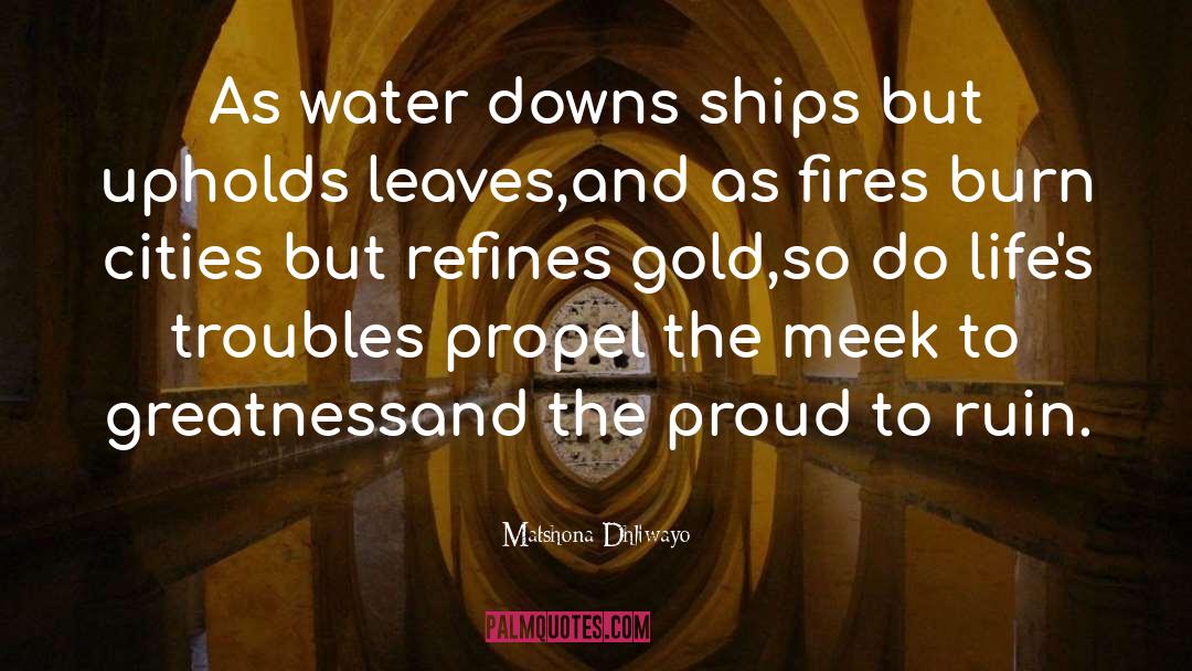 The Meek quotes by Matshona Dhliwayo