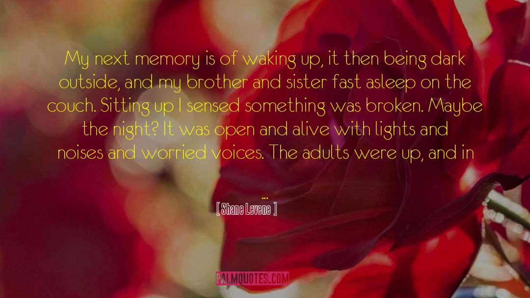 The Memory Book quotes by Shane Levene