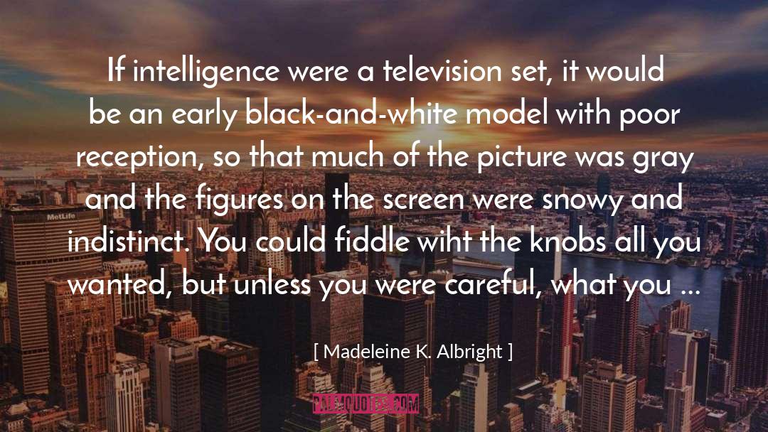 The Mighty And The Almighty quotes by Madeleine K. Albright