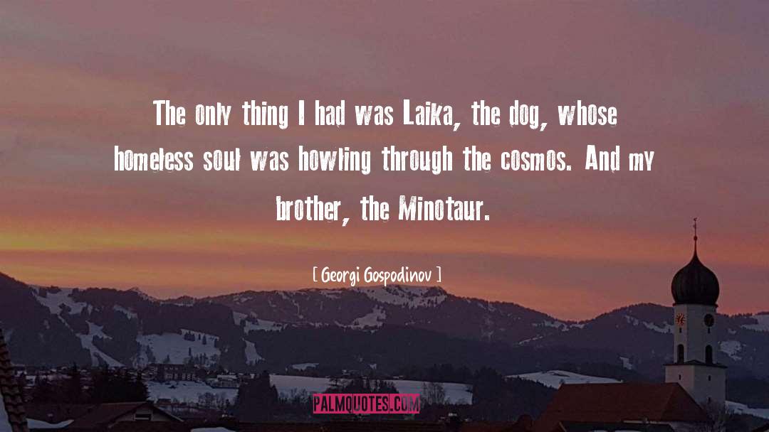 The Minotaur quotes by Georgi Gospodinov
