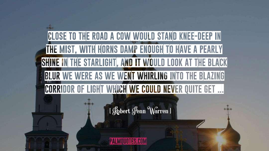 The Mist quotes by Robert Penn Warren