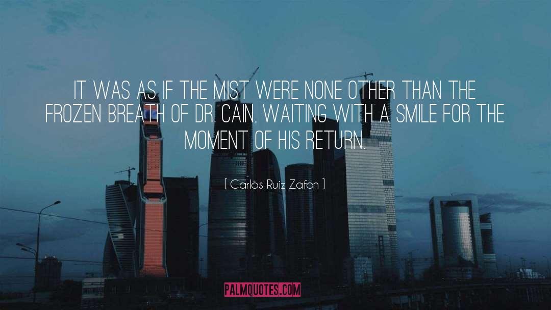 The Mist quotes by Carlos Ruiz Zafon