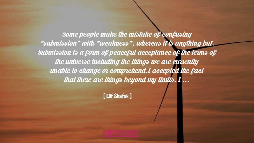 The Mistake quotes by Elif Shafak