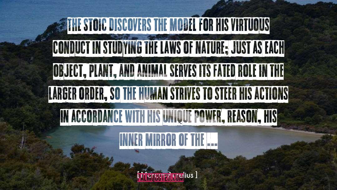 The Model quotes by Marcus Aurelius