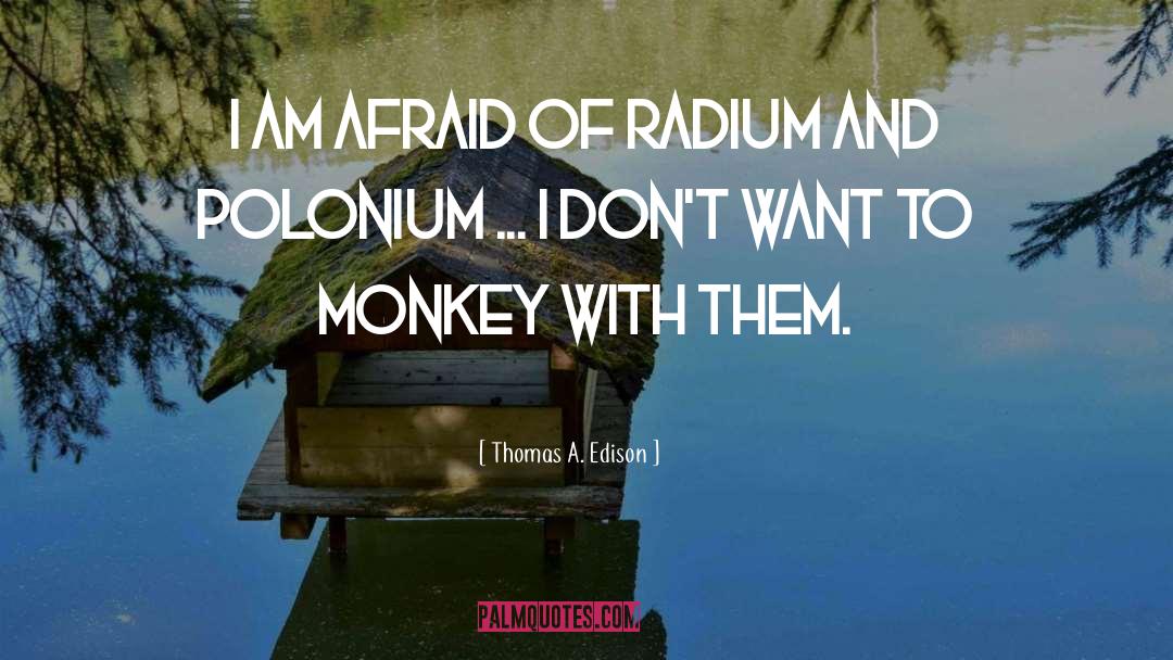 The Monkeys quotes by Thomas A. Edison