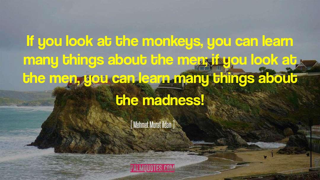 The Monkeys quotes by Mehmet Murat Ildan