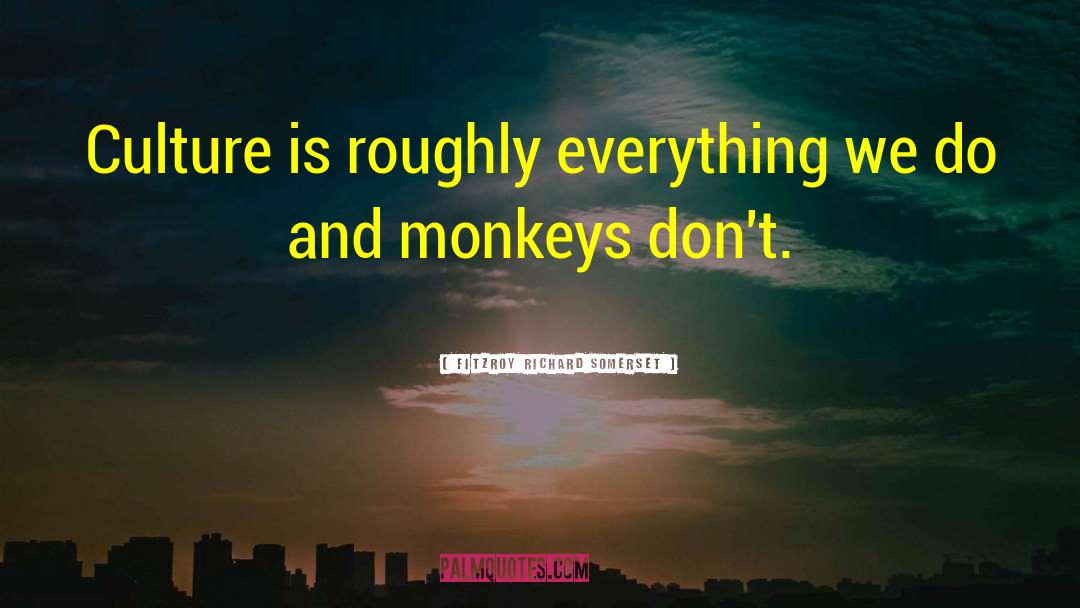 The Monkeys quotes by FitzRoy Richard Somerset