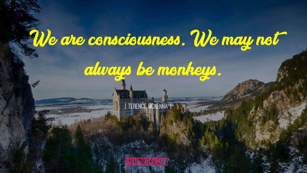 The Monkeys quotes by Terence McKenna