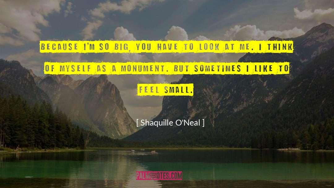 The Monument quotes by Shaquille O'Neal