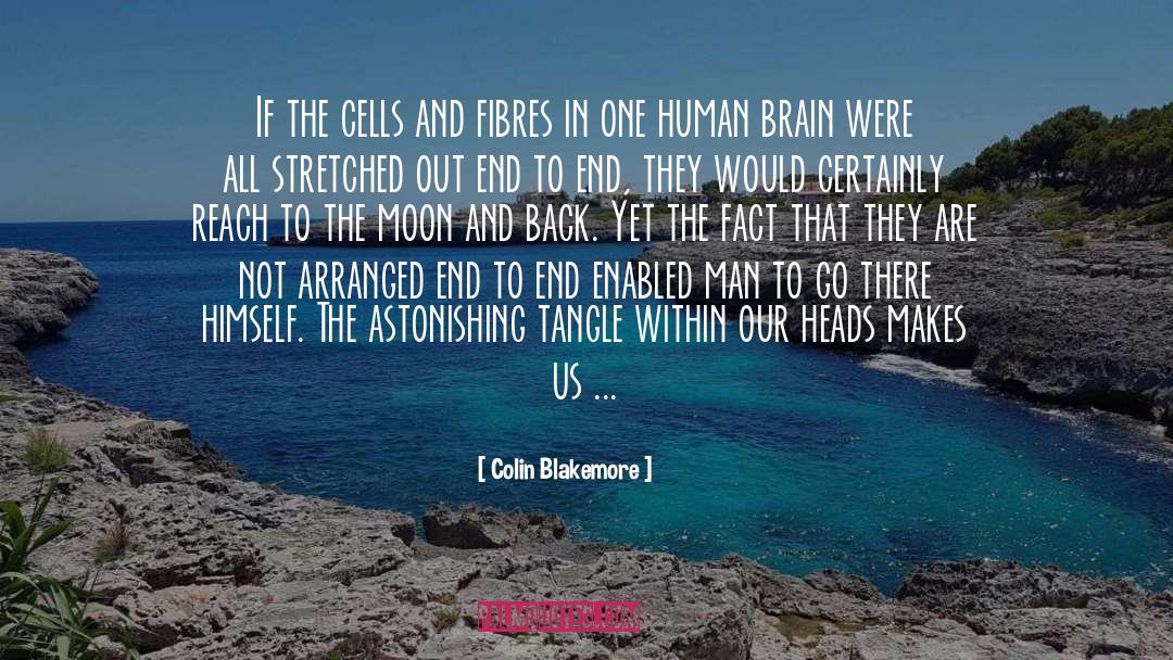The Moon And Back quotes by Colin Blakemore