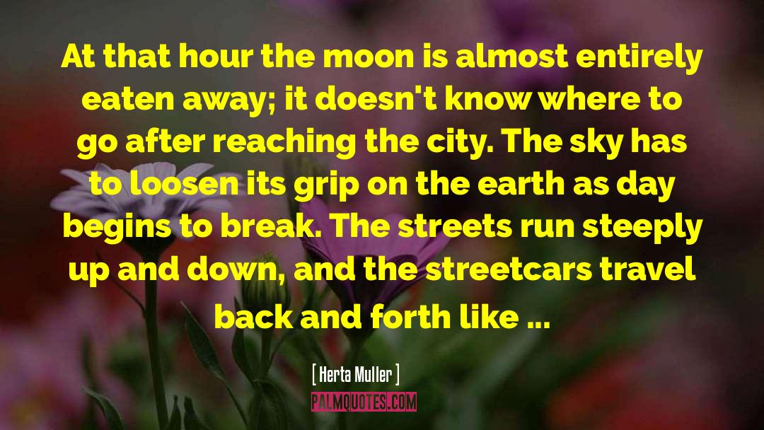 The Moon And More quotes by Herta Muller