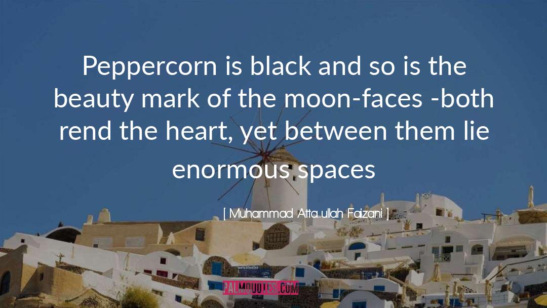 The Moon quotes by Muhammad Atta-ullah Faizani