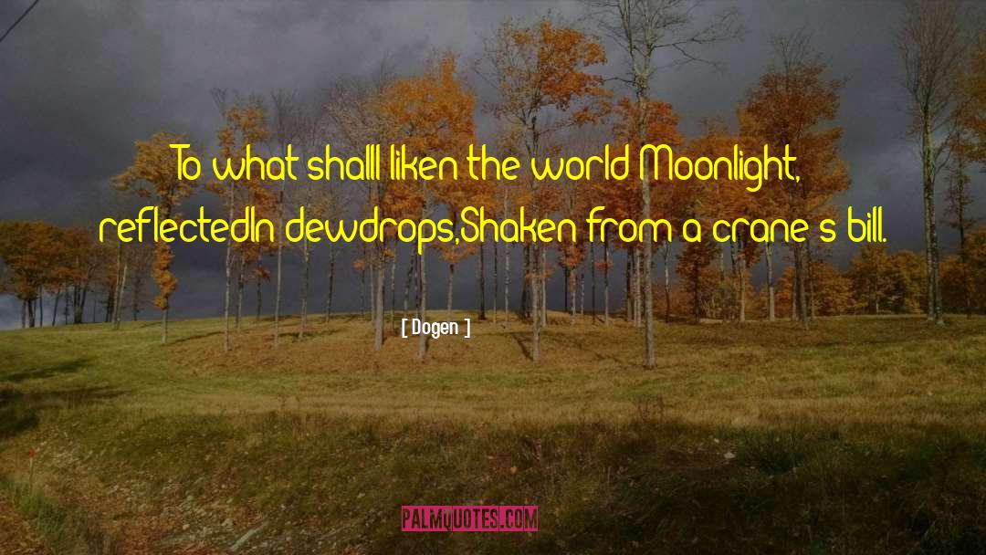 The Moonlight Dreamers quotes by Dogen