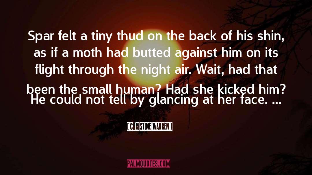 The Moth Flame quotes by Christine Warren