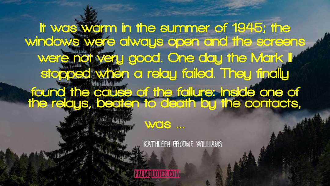 The Moth Flame quotes by Kathleen Broome Williams
