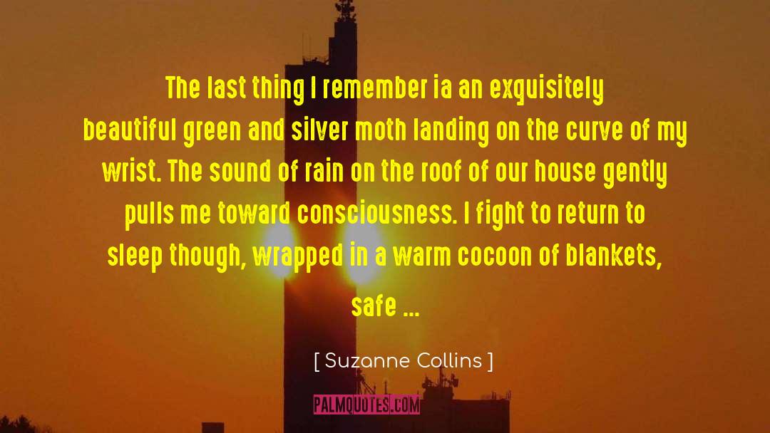 The Moth Flame quotes by Suzanne Collins