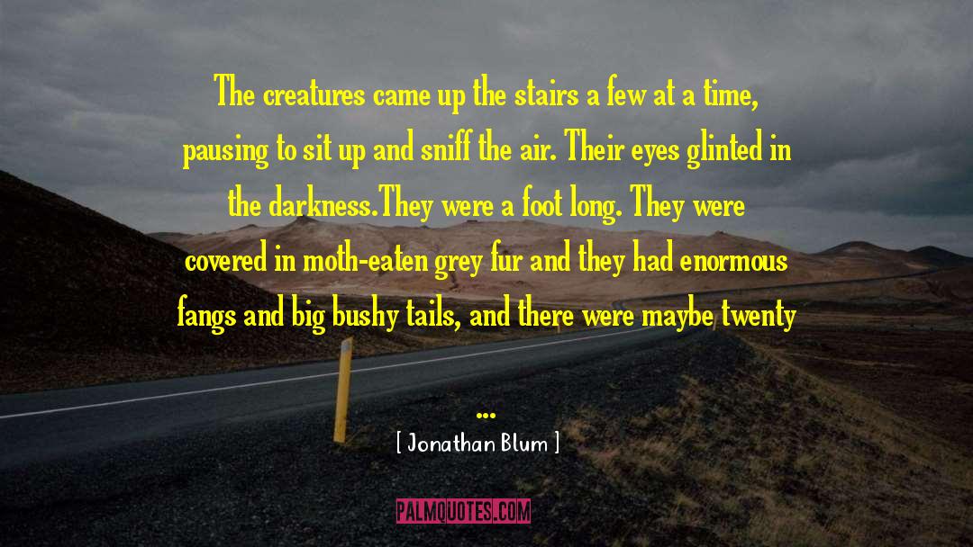 The Moth Flame quotes by Jonathan Blum