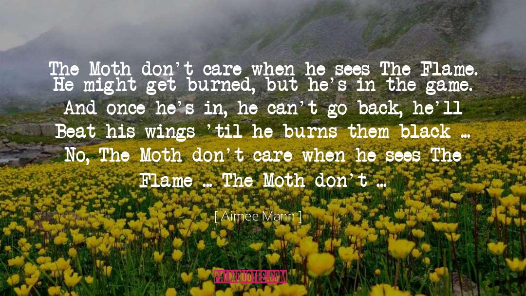 The Moth quotes by Aimee Mann