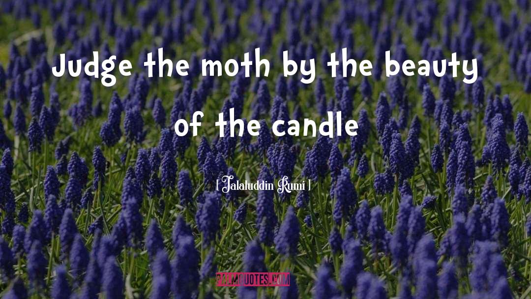 The Moth quotes by Jalaluddin Rumi