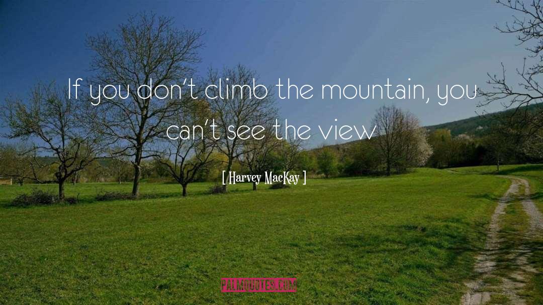 The Mountain quotes by Harvey MacKay