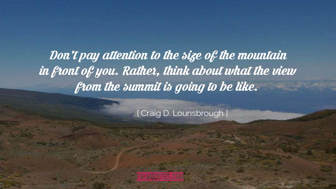 The Mountain quotes by Craig D. Lounsbrough