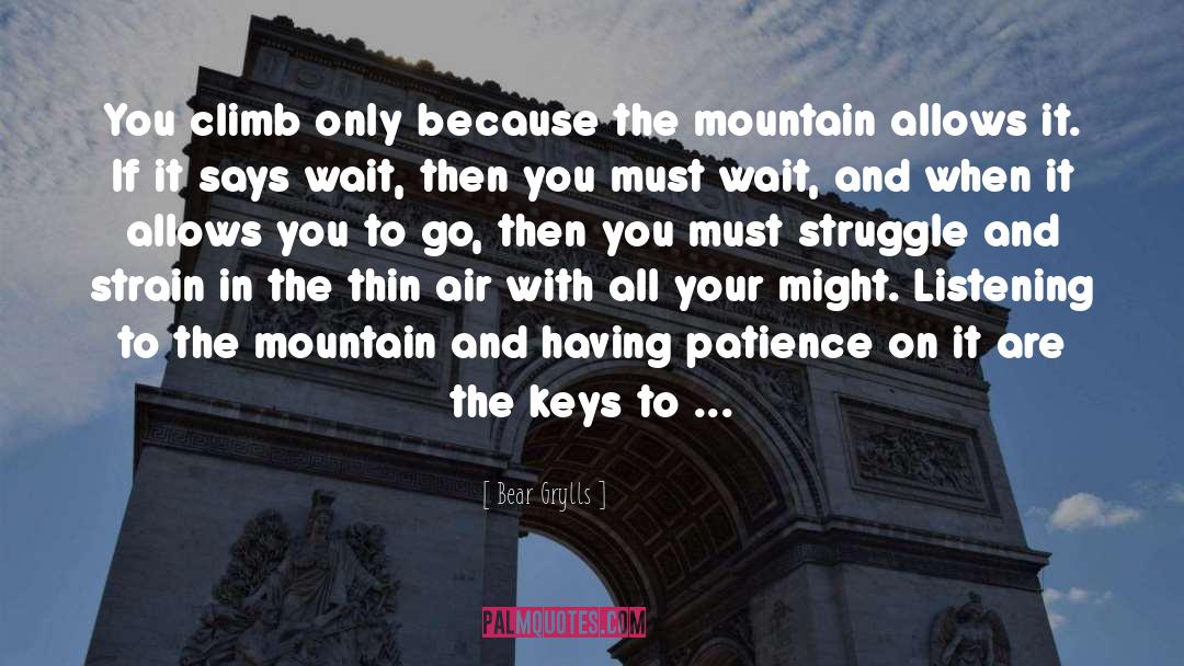 The Mountain quotes by Bear Grylls
