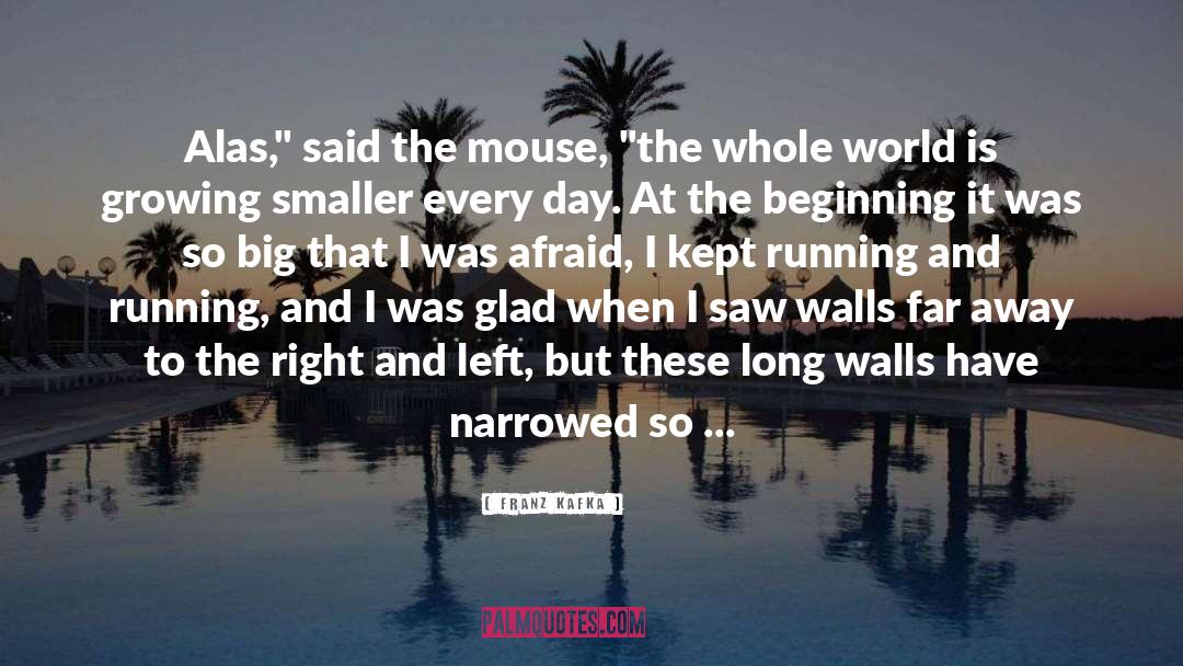 The Mouse quotes by Franz Kafka