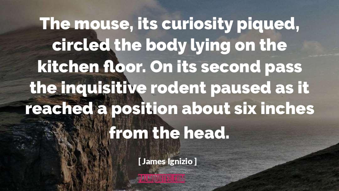 The Mouse quotes by James Ignizio