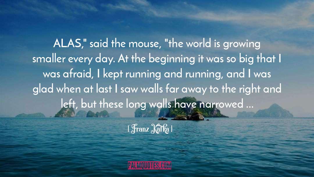 The Mouse quotes by Franz Kafka