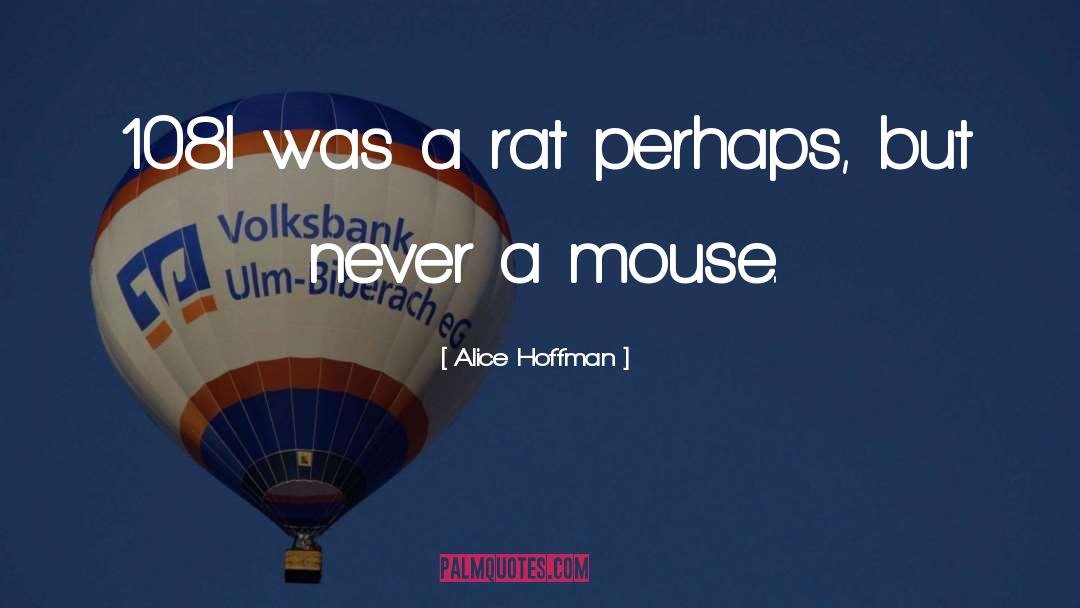 The Mouse quotes by Alice Hoffman