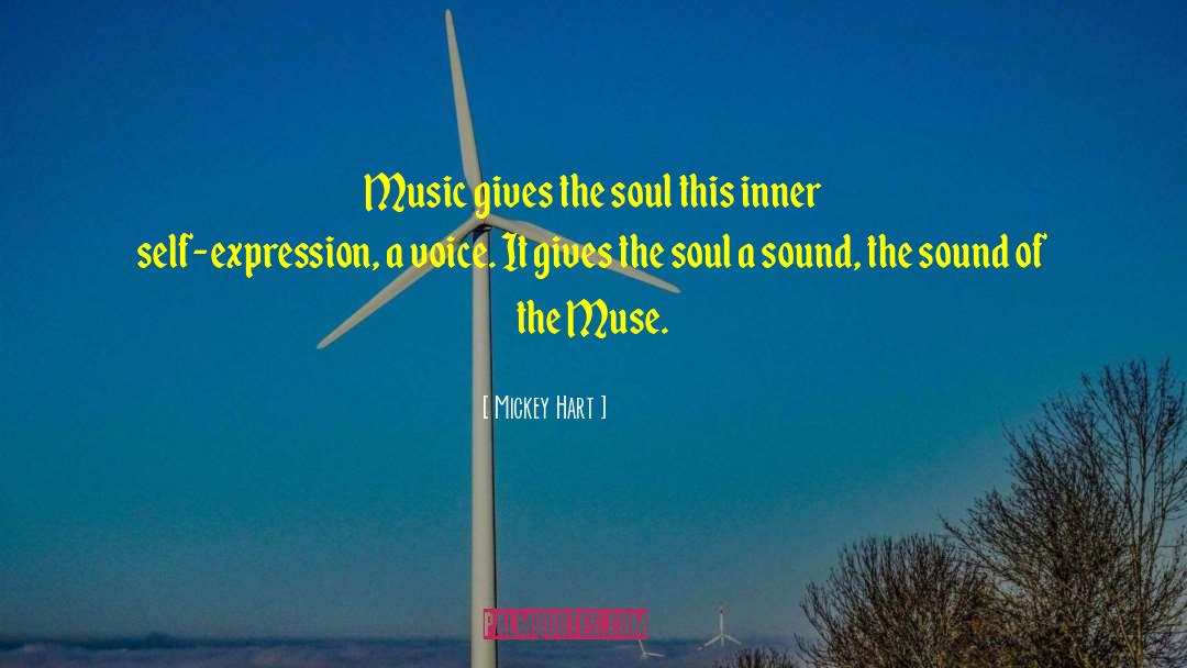 The Muse quotes by Mickey Hart