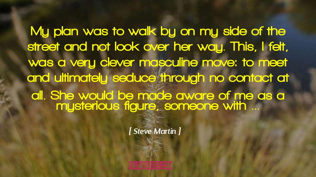 The Mysterious Stranger quotes by Steve Martin